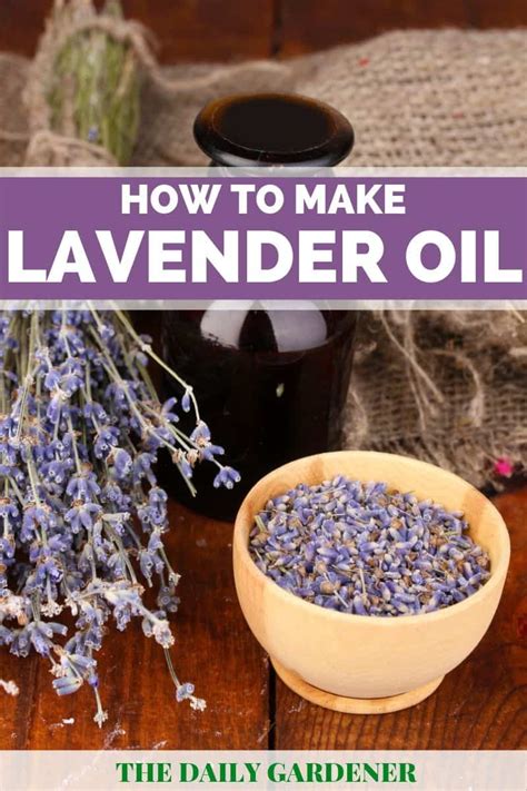 Magical uses of lavennder